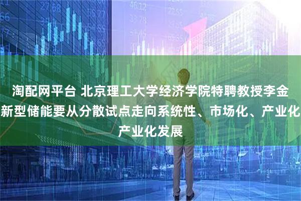 淘配网平台 北京理工大学经济学院特聘教授李金铠：新型储能要从分散试点走向系统性、市场化、产业化发展