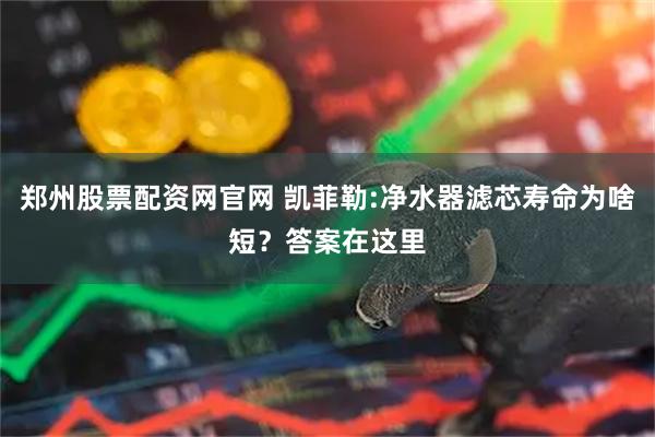郑州股票配资网官网 凯菲勒:净水器滤芯寿命为啥短？答案在这里