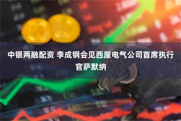 中银两融配资 李成钢会见西屋电气公司首席执行官萨默纳